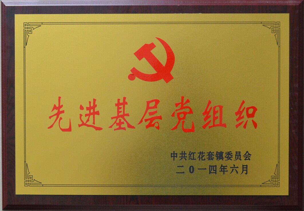 管家婆精准资料大全软件用法