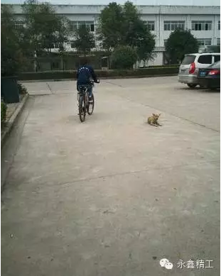 管家婆精准资料大全软件用法