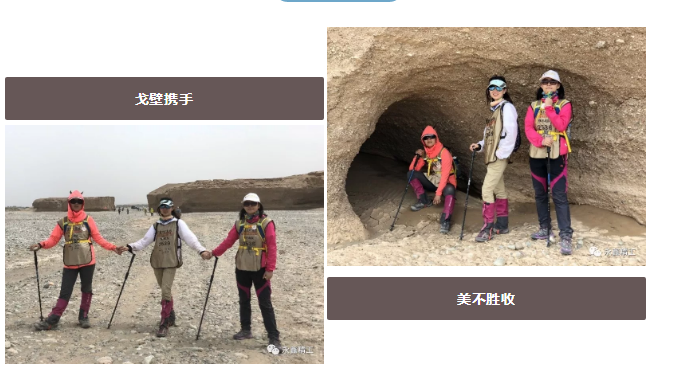 管家婆精准资料大全软件用法